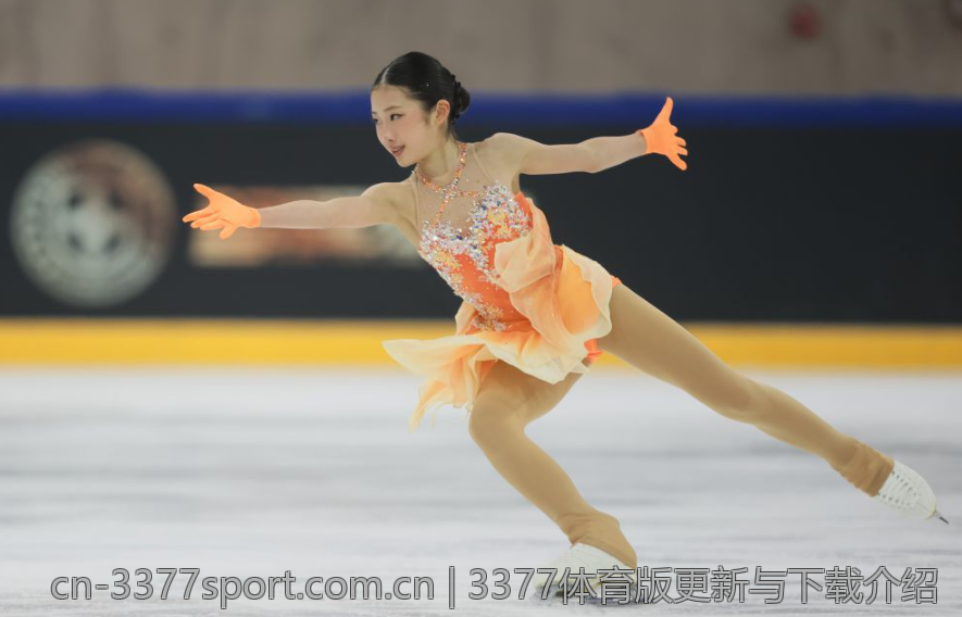 3377体育版更新与下载介绍