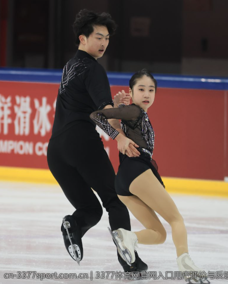 3377体育网官网入口用户评价与反馈
