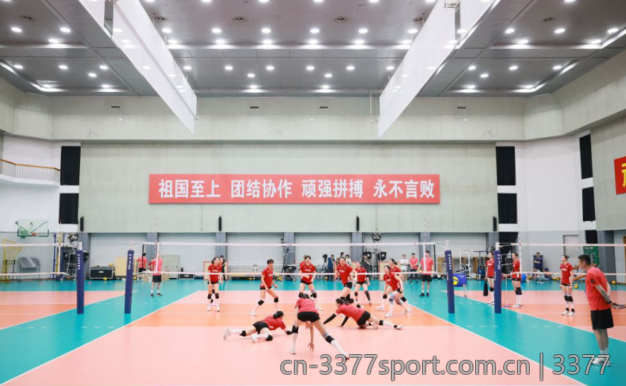 3377体育登录入口常见问题解答