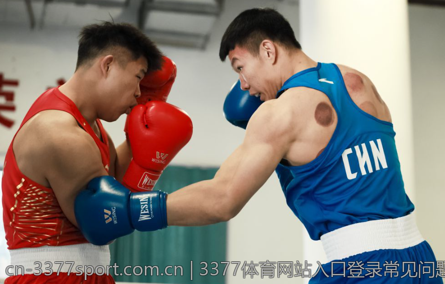 3377体育网站入口登录常见问题解答